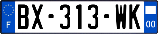 BX-313-WK