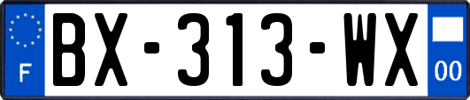 BX-313-WX