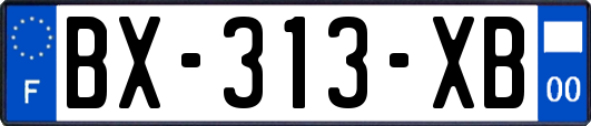 BX-313-XB