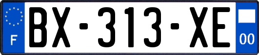 BX-313-XE