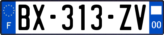 BX-313-ZV