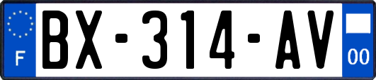 BX-314-AV