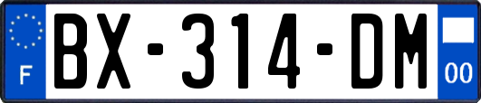 BX-314-DM