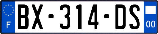 BX-314-DS