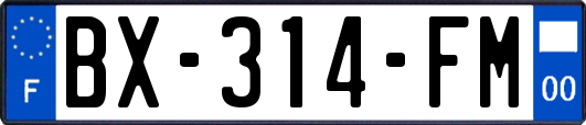 BX-314-FM