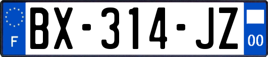 BX-314-JZ