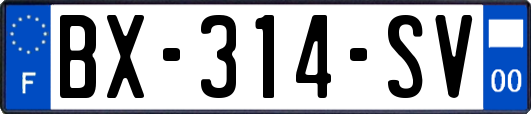 BX-314-SV