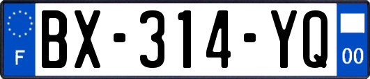 BX-314-YQ