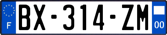 BX-314-ZM