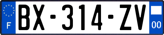 BX-314-ZV