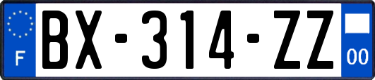 BX-314-ZZ