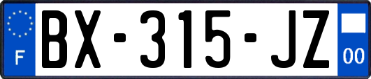 BX-315-JZ