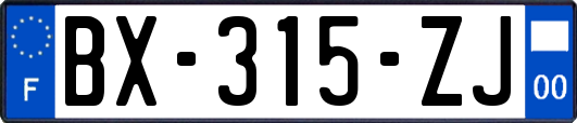 BX-315-ZJ