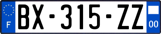 BX-315-ZZ