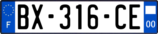 BX-316-CE