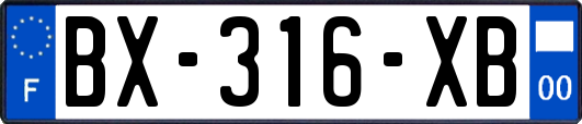 BX-316-XB