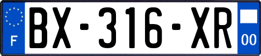 BX-316-XR