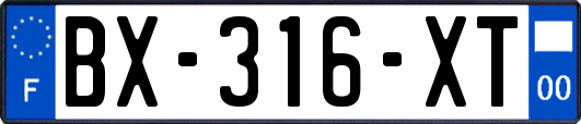 BX-316-XT