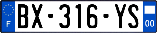 BX-316-YS