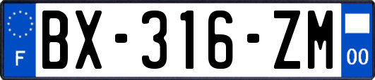 BX-316-ZM