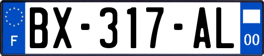 BX-317-AL