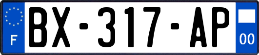 BX-317-AP