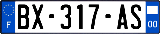 BX-317-AS