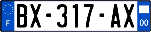 BX-317-AX