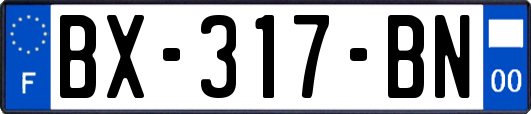 BX-317-BN