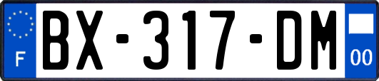 BX-317-DM