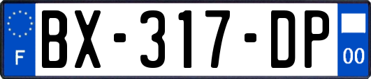 BX-317-DP