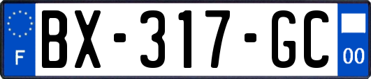 BX-317-GC