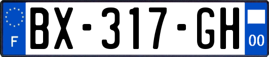 BX-317-GH