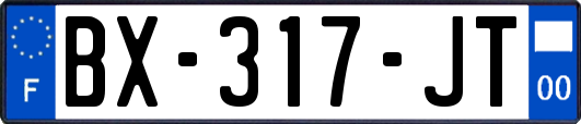 BX-317-JT