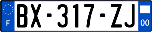 BX-317-ZJ