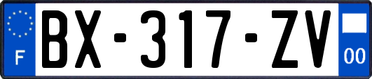 BX-317-ZV