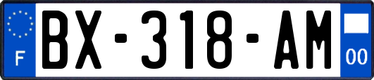 BX-318-AM