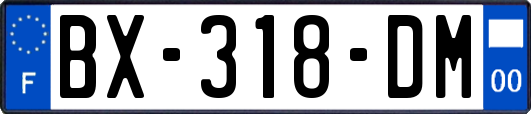 BX-318-DM