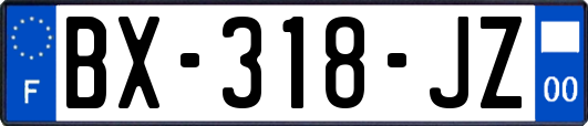 BX-318-JZ