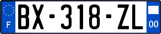 BX-318-ZL