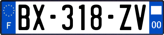 BX-318-ZV