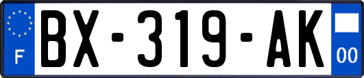 BX-319-AK