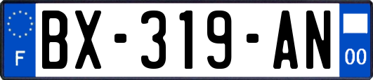 BX-319-AN