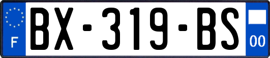 BX-319-BS