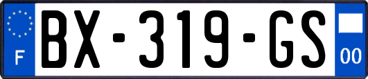 BX-319-GS