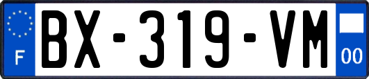 BX-319-VM