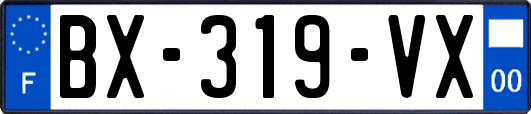 BX-319-VX