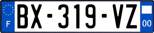 BX-319-VZ