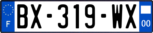 BX-319-WX