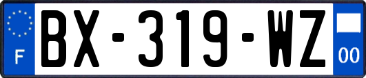 BX-319-WZ